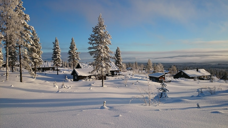 Bilde fra FURUTANGEN DRIFT AS i Osen