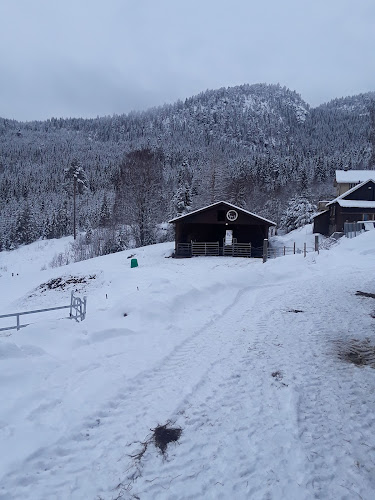 Bilde fra NERØDEGÅRD MASKIN AS i Bagn