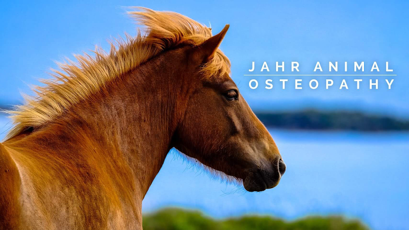 Bilde fra JAHR PER P i Nordby