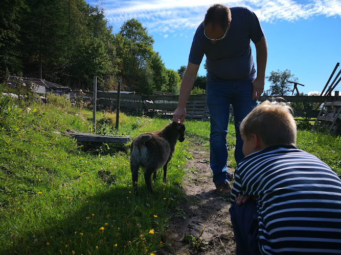 Bilde fra FREDRIK TJØGERSEN i Staubø