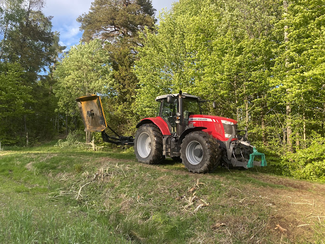 Bilde fra ARVID GRYTE i Stokke